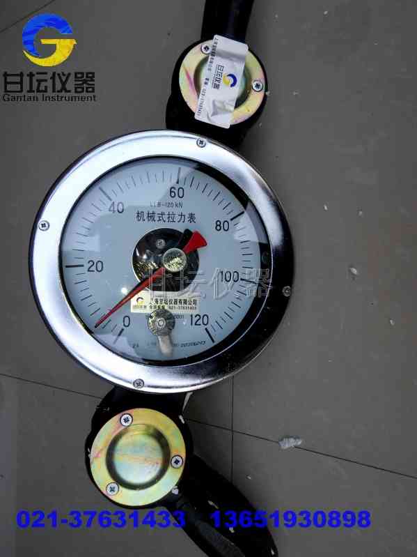 100公斤指針拉力計(jì),100kg數(shù)顯拉力計(jì)-1000N推拉式測(cè)力計(jì)